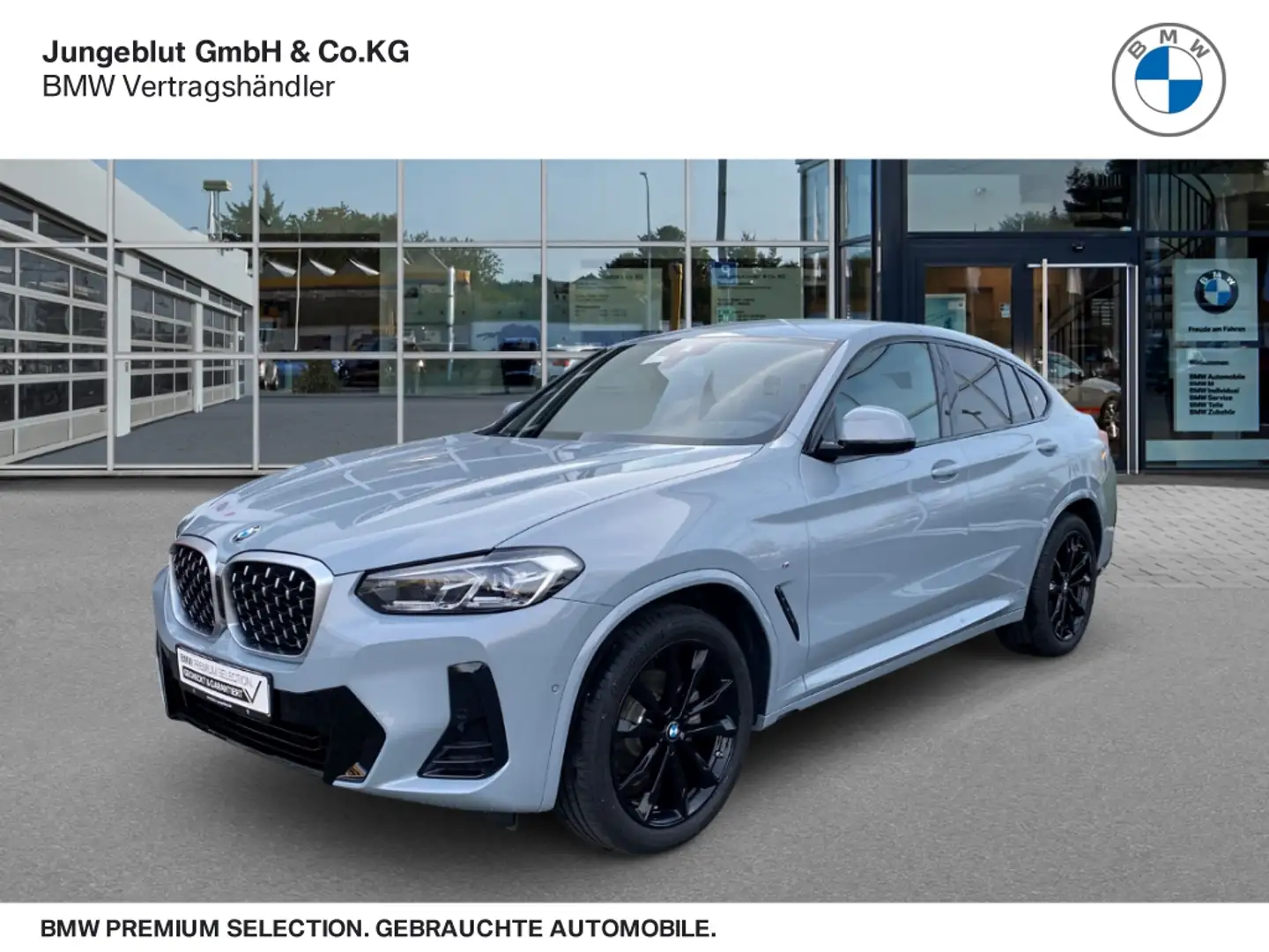 BMW X4 20d M Sport xDrive AHK/Fernl.Assist/HiFi/ParkAssis Grau - 1