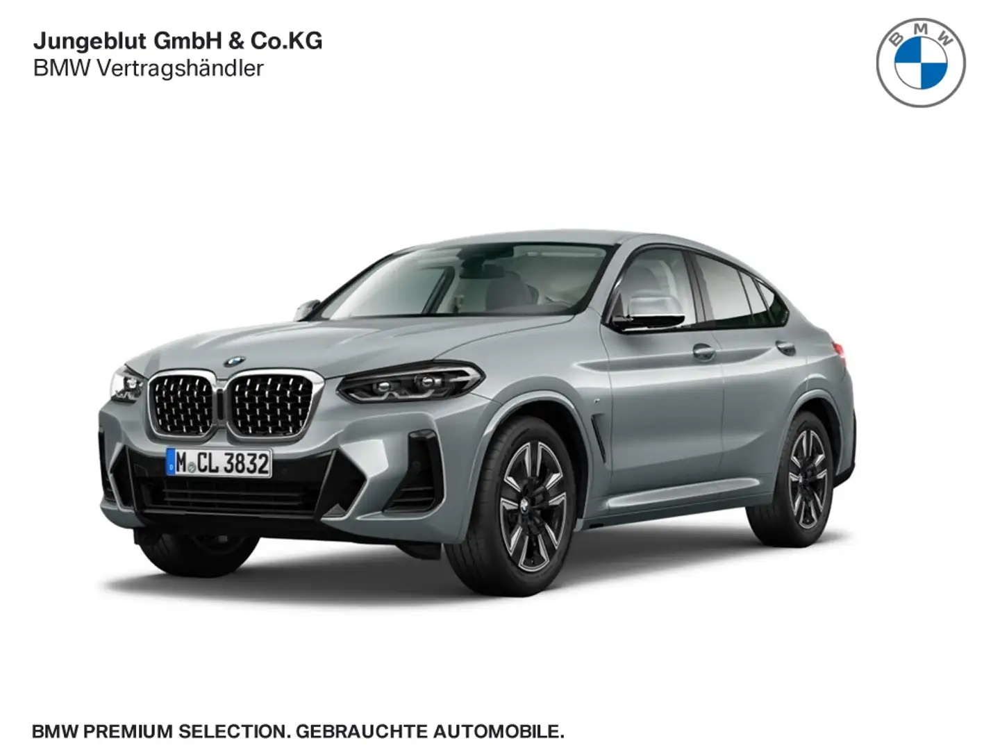 BMW X4 20d M Sport xDrive AHK/Fernl.Assist/HiFi/ParkAssis Gris - 1