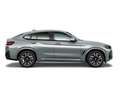 BMW X4 20d M Sport xDrive AHK/Fernl.Assist/HiFi/ParkAssis Gris - thumbnail 5
