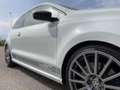 Volkswagen Polo R WRC 3p 2.0 tsi R-WRC 220cv - thumbnail 2