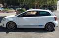 Volkswagen Polo R WRC 3p 2.0 tsi R-WRC 220cv - thumbnail 5