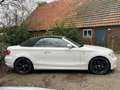 BMW 120 120i cabrio High Executive Lederen Sportstoelen Blanc - thumbnail 3