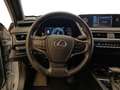 Lexus UX 250h Hybrid Executive Gris - thumbnail 10
