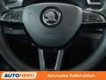 Skoda Fabia 1.0 TSI Style*NAVI*PDC*SHZ*KLIMA*TEMPO* Blau - thumbnail 19