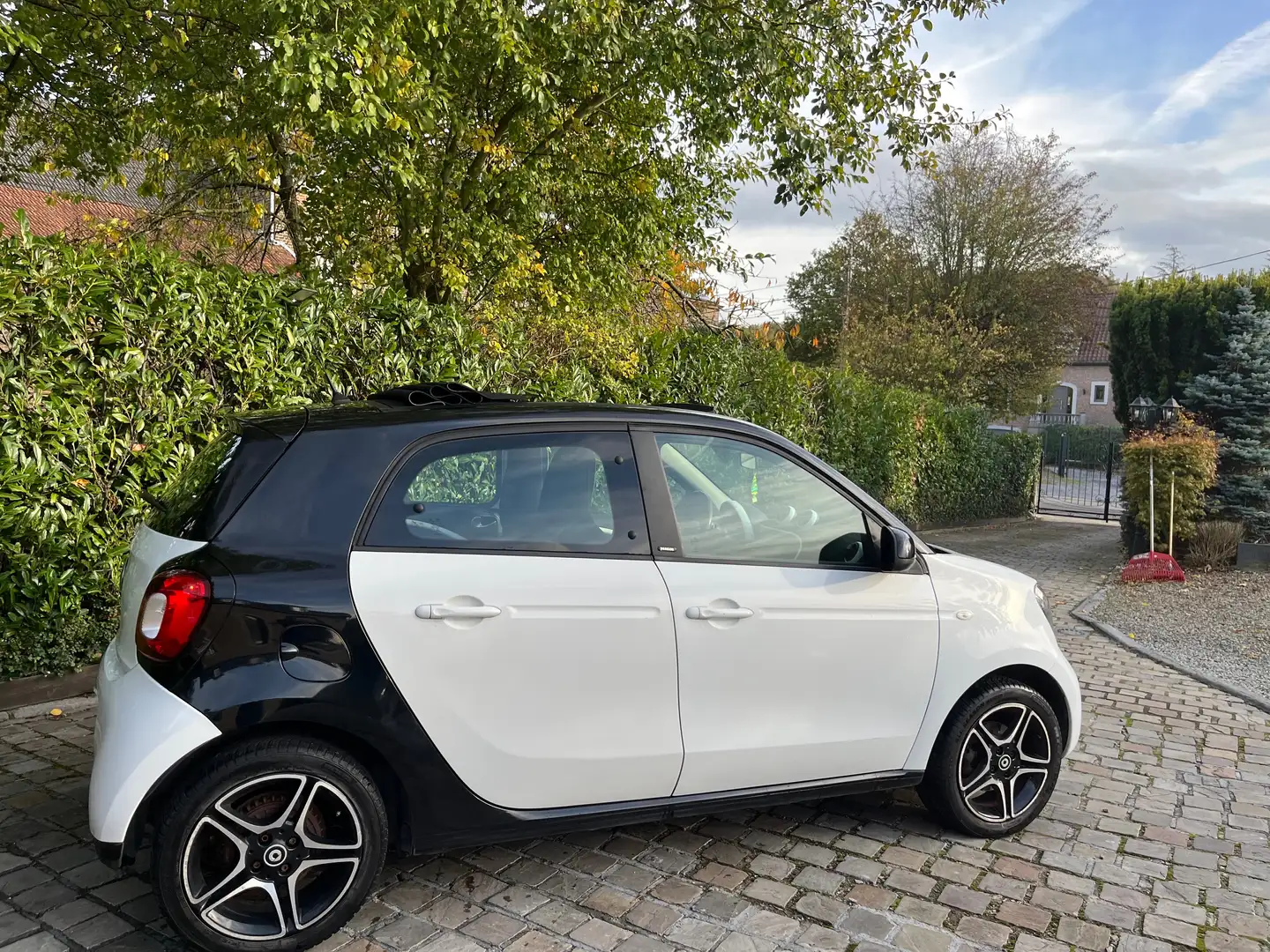 smart forFour Forfour 1.5 cdi Pulse Softtouch Plus - 2