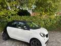 smart forFour Forfour 1.5 cdi Pulse Softtouch Plus - thumbnail 1