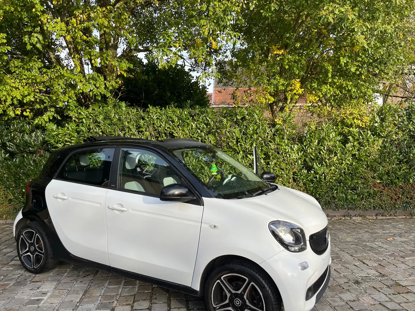 smart forFour Forfour 1.5 cdi Pulse Softtouch Plus - 1