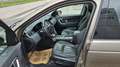 Land Rover Discovery Sport 2,0 SD4 4WD HSE Aut. Beige - thumbnail 11