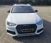 Audi A4 Avant 40 TDI S tronic - thumbnail 6