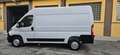 Fiat Ducato 3.0 CNG MH2 136CV NATPOWER- SOST BOMBOLE 10/27+IVA Blanc - thumbnail 7