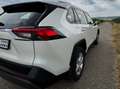 Toyota RAV 4 2.0 Comfort Avtomatik Weiß - thumbnail 19