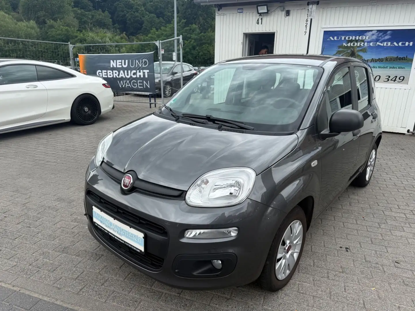 Fiat Panda Easy Grau - 1