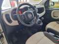 Fiat Panda Panda 1.3 mjt 95cv BLUETOOTH, COMPUTER DI BORDO Bronze - thumbnail 8