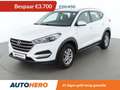 Hyundai TUCSON 1.6 Classic blue 2WD Bianco - thumbnail 1