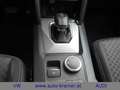 Volkswagen Amarok Life 2.0 TDI 4MOTION 150 kW Grau - thumbnail 11