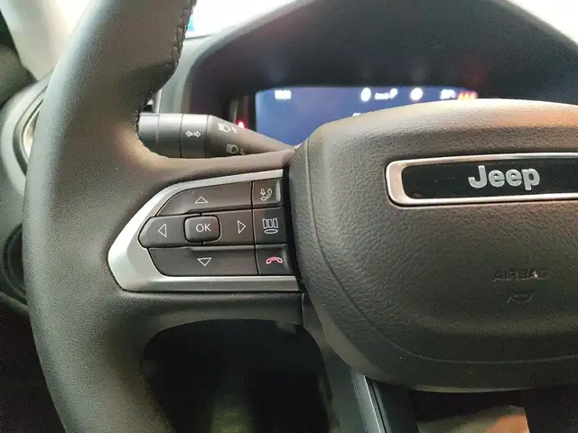 Jeep Renegade view 16