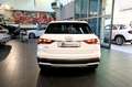 Audi Q3 35 TFSI S-Tronic Business Advanced - TETTO/ADAS Bianco - thumbnail 9