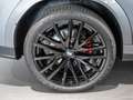 BMW X6 xDrive 40d M-Sport Pro FACEL. 360° PANO Grau - thumbnail 9