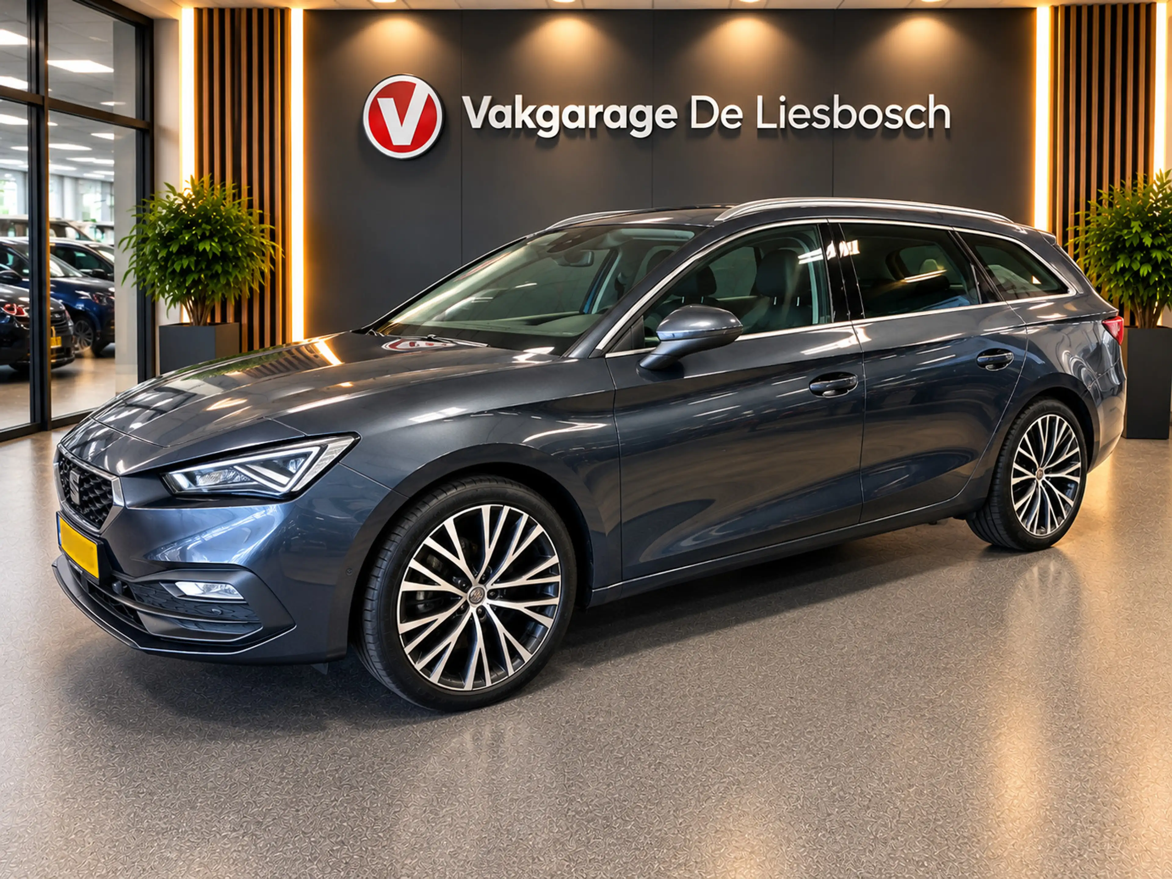 SEAT Leon e-Hybrid Sportstourer 1.4 TSI eHybrid PHEV FR Xcellence/pan
