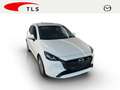 Mazda 2 Exclusive-Line 1.5 SKYACTIV-G 90 EU6d AD Apple Car White - thumbnail 4
