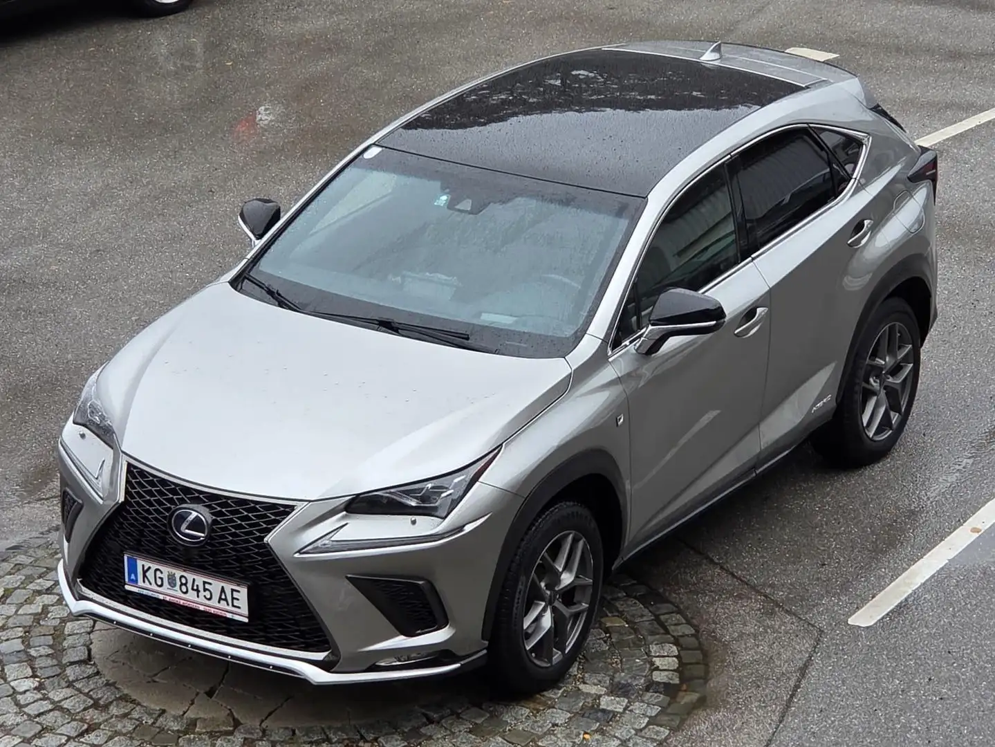 Lexus NX 300h NX 300h F Sport Hybrid Aut. F Sport Grau - 1