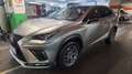 Lexus NX 300h NX 300h F Sport Hybrid Aut. F Sport Grau - thumbnail 18