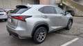 Lexus NX 300h NX 300h F Sport Hybrid Aut. F Sport Grau - thumbnail 5