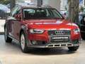 Audi A4 allroad A4 allroad quattro 2.0 PANO|AHK|ACC|4xSHZ|XENON Rot - thumbnail 1