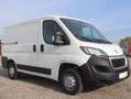 Peugeot Boxer L1H1 Kasten TEL TEMP KLIMA Parksens. Weiß - thumbnail 3
