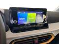 SEAT Arona 2022 1.0 ecotsi Reference 95cv Argento - thumbnail 14