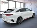 Kia ProCeed / pro_cee'd Proceed 1.6 DCT T-GDi GT *Glasdach*Allwetter18Z* Weiß - thumbnail 3