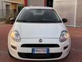 Fiat Punto Punto 5p 1.3 mjt Street s White - thumbnail 2