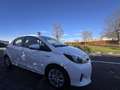 Toyota Yaris 5p 1.5 benzina Hybrid - thumbnail 16