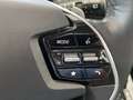 Kia e-Niro Niro EV 64kWh long Range Silber Aut. Weiß - thumbnail 13