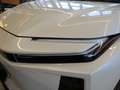 Toyota C-HR + Elektro 77kWh AWD Lounge Navi*PDC*Kamera Weiß - thumbnail 23