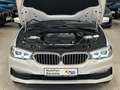 BMW 530 i/Lim/NaviPro/Gl.Dach/BelüftStz/G30/Unfallfre Weiß - thumbnail 31