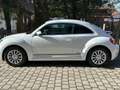 Volkswagen Beetle The 1.4 TSI CUP Weiß - thumbnail 5