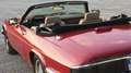 Jaguar XJS V12 Liebhaber Auto, niedrig km, super gepflegt Rot - thumbnail 5