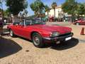 Jaguar XJS V12 Liebhaber Auto, niedrig km, super gepflegt Rot - thumbnail 4