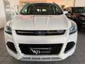 Ford Kuga 2.0 TDCI 180 CV S&S 4WD Powershift Titanium X Wit - thumbnail 2
