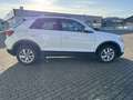 Volkswagen T-Roc Life 2.0 TDI DSG ACC APP NAVI SHZ Weiß - thumbnail 5