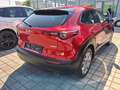 Mazda CX-30 G122 Comfort+/SO/ST/TE Aut. Rot - thumbnail 3