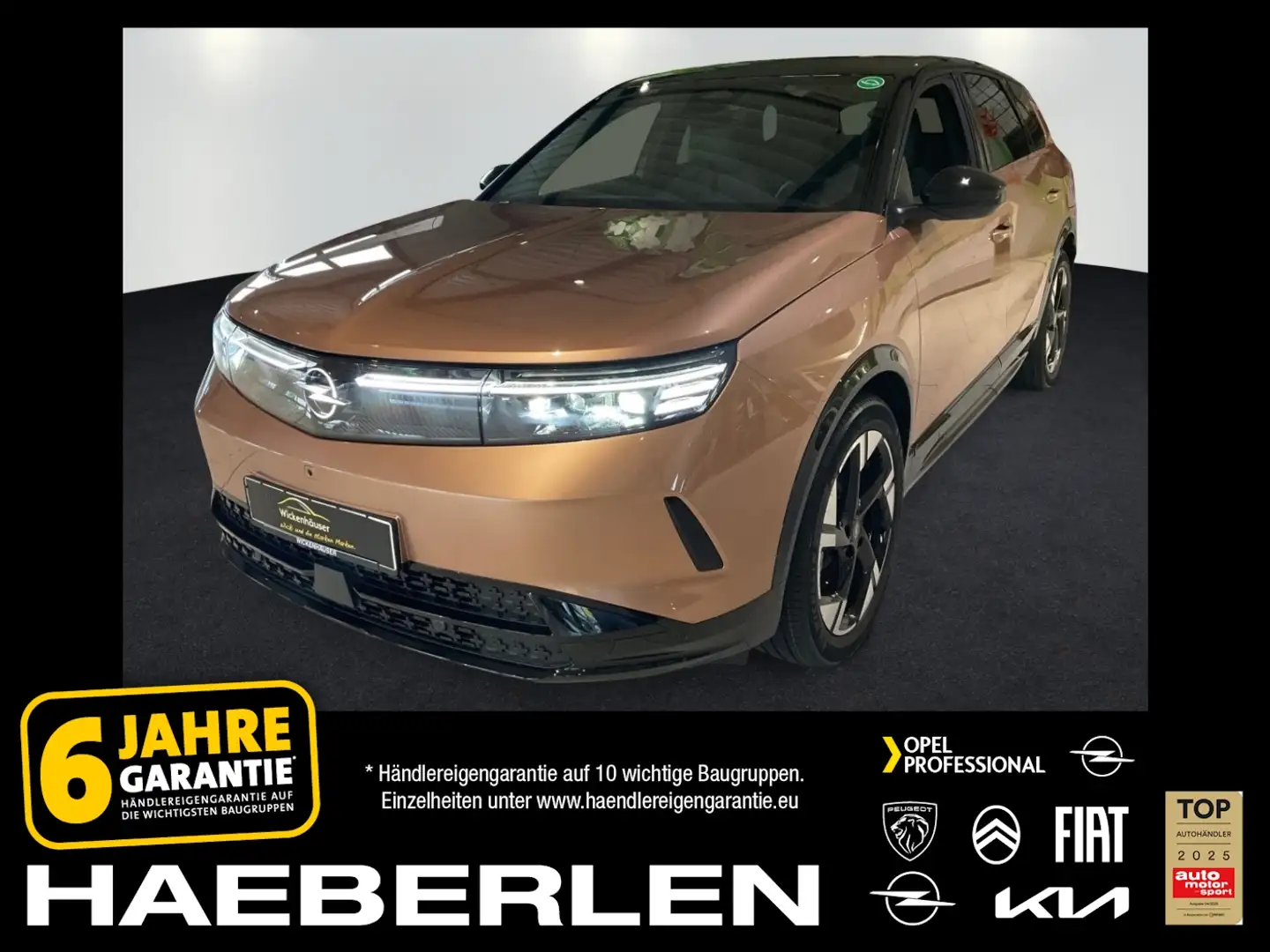 Opel Grandland Electric GS PDC*360-Kamera*HUD*SHZ+LHZ - 1