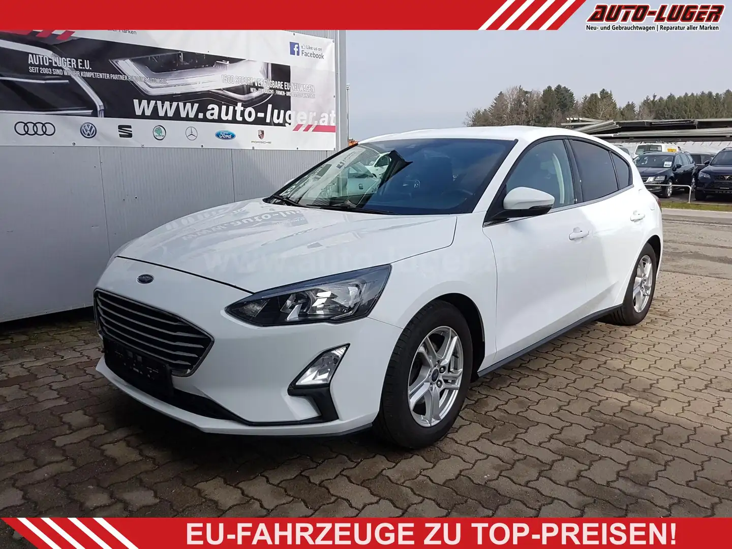 Ford Focus Cool & Connect 1,0 Ltr. - 74 kW EcoBoost KAT 74... Weiß - 1