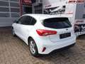 Ford Focus Cool & Connect 1,0 Ltr. - 74 kW EcoBoost KAT 74... Blanc - thumbnail 3