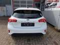 Ford Focus Cool & Connect 1,0 Ltr. - 74 kW EcoBoost KAT 74... Blanc - thumbnail 4