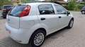 Fiat Punto 1.2 8V 5P. ISTRIBUZIONE NUOVA Bianco - thumbnail 3