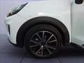 Ford Puma 1.0 ecoboost h Titanium s&s 125cv Bianco - thumbnail 8