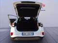 Ford Puma 1.0 ecoboost h Titanium s&s 125cv Bianco - thumbnail 15
