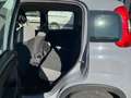 Fiat Panda Panda 1.0 FireFly S&S Hybrid City Life Grigio - thumbnail 6
